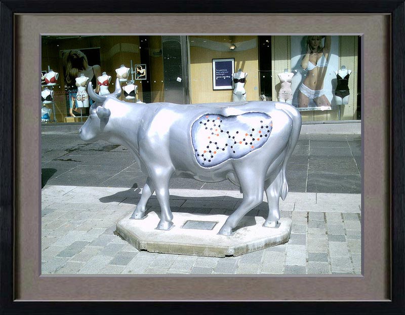 Edinburgh CowParade (May 15 to July 23 2006) by Ross Douglass  (http://www.flickr.com/people/cnut_pictures/). Castle Street, Cow:  “Phar-moo-ceutical”.