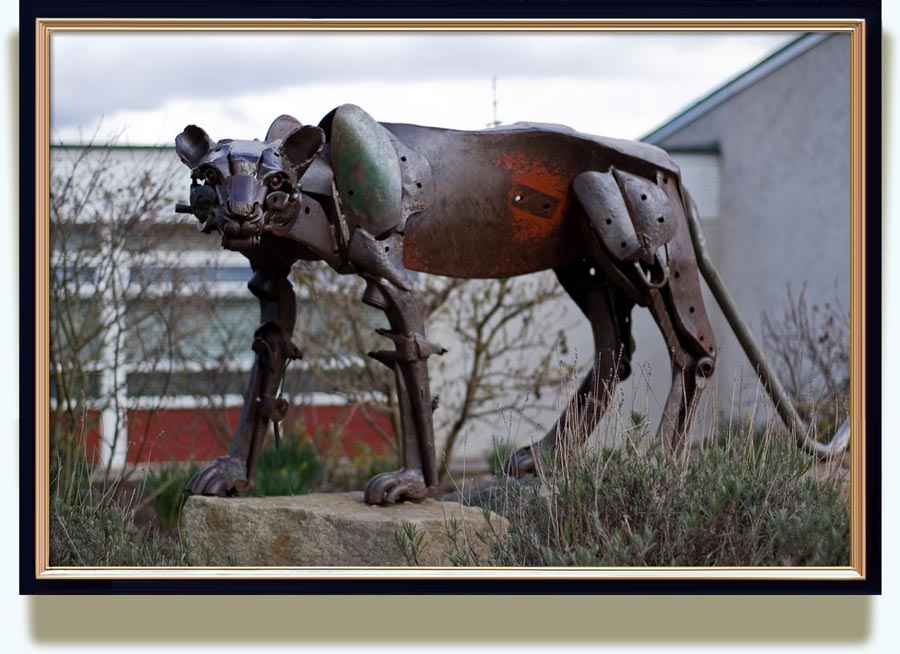 Helen Denerley (b. 1956 in Roslin, Midlothian, Scotland. Now living in Strathdon, Aberdeenshire, Scotland). Alford panther. 1997. Scrap metal. Life size. The panther which many school pupils  claim to have seen, prowls in a garden at the  back of Alford Academy. http://www.flickr.com/photos/spottiewattie17/2333429978/